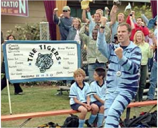 Tigers Banner from the movie "Kicking & Screaming"