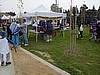 LIttle League Opening Day